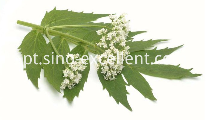 Valerian pic Valerian pic